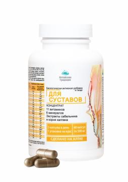 Простые решения, Концентрат для суставов с экстрактом сабельника и хондроитином +11 витаминов и 6 минералов, капсулы, 60 шт.