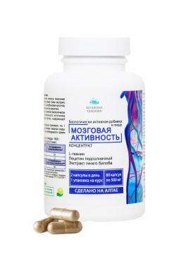 Простые решения, Концентрат «Мозговая активность» с аминокислотой L-теанин и экстрактом гинкго билоба, капсулы, 60 шт.