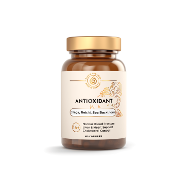Apotheka, Antioxidant, капсулы, 60 шт.